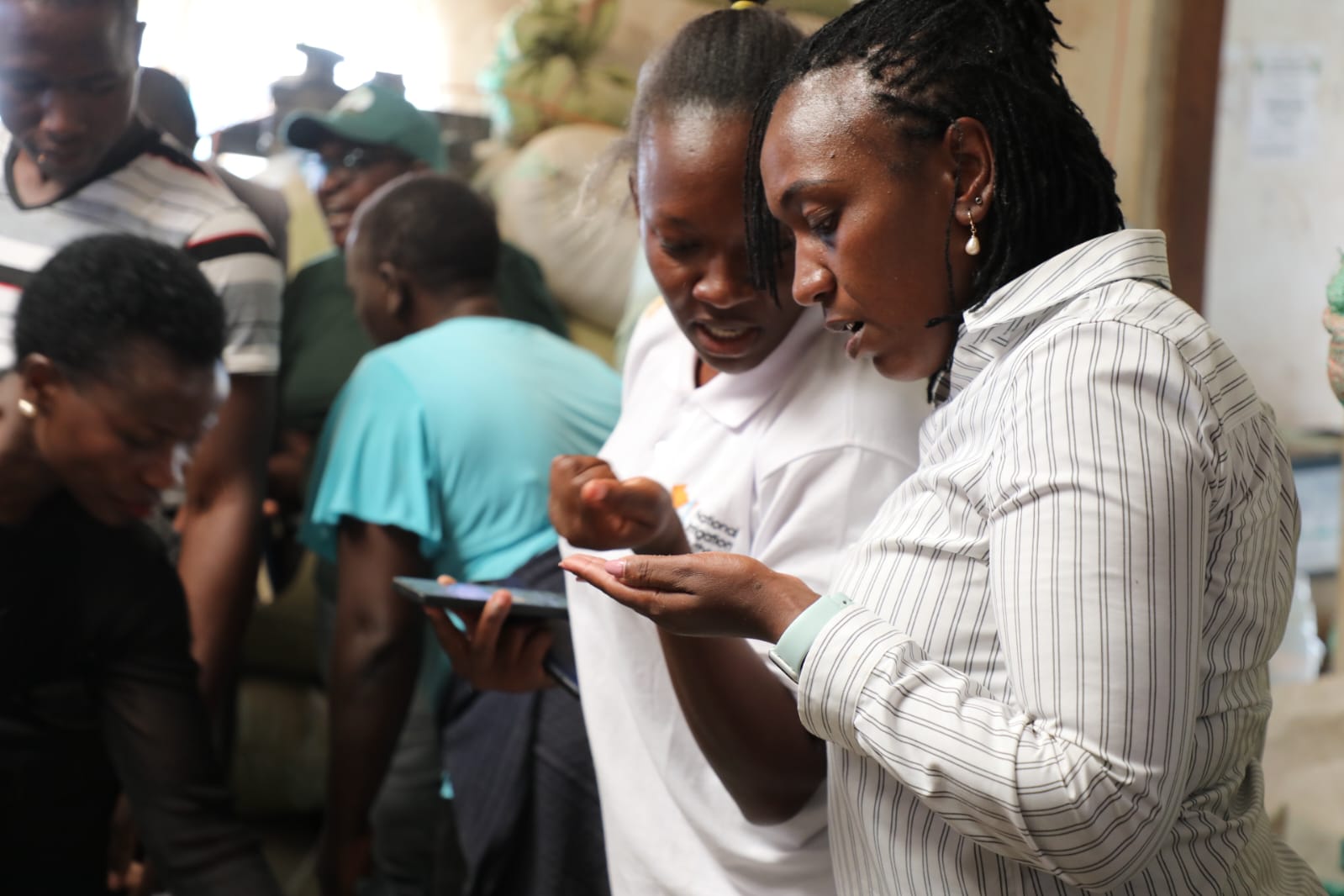 Ag CEO having a glimpse of Rice at the miller.
